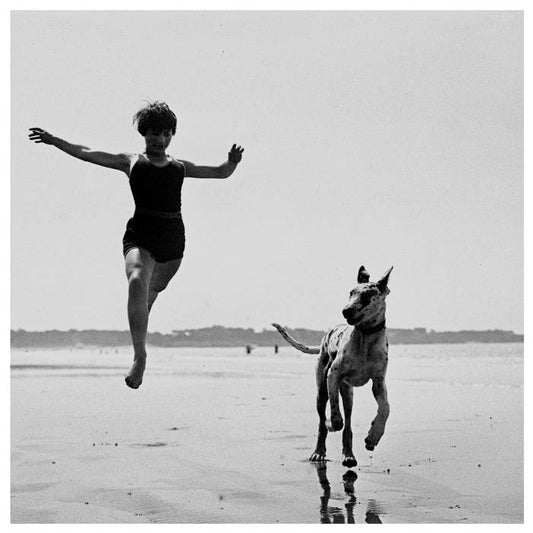 Lost Horizons In Quiet Moments [CD]