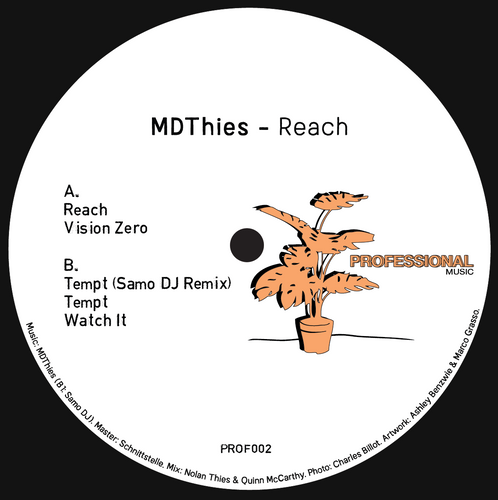 MDThies - Reach