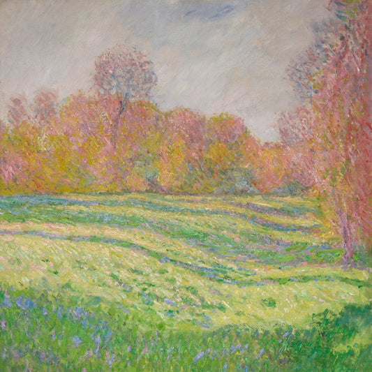 Strawberry Guy - Sun Outside My Window [LP]