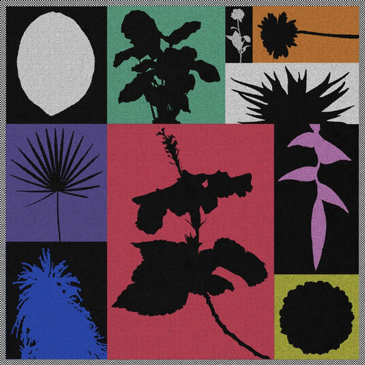 Munjebel - Demi-Monde