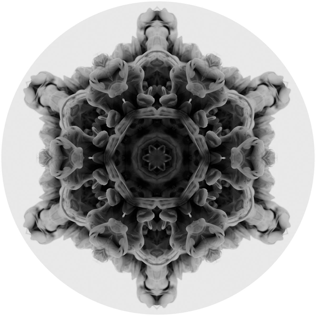 MOi - 12 [vinyl only]