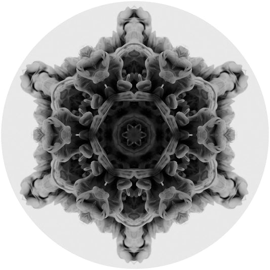 MOi - 12 [vinyl only]