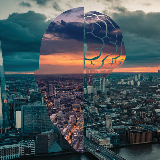 Luke Sandler - We Go From Here