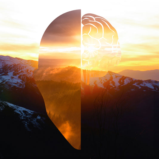 Luke Sandler - Club Spirit