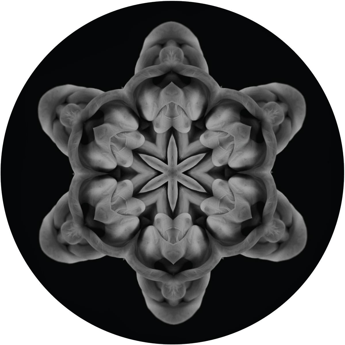 MOi - 09 [180 grams / vinyl only] [Repress]