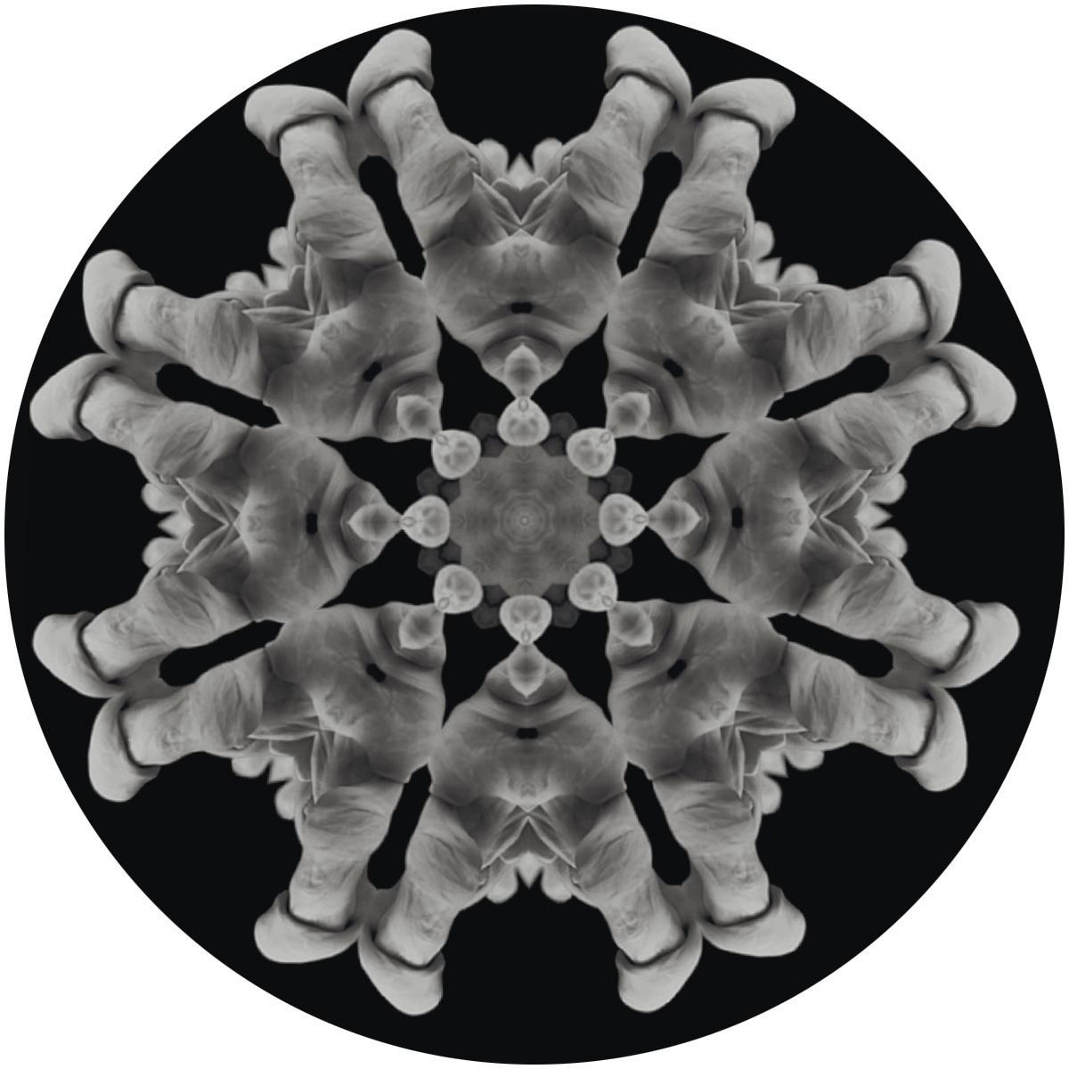 MOi - 10 [180 grams / vinyl only] [Repress]