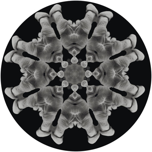 MOi - 10 [180 grams / vinyl only] [Repress]