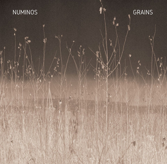 Numinos - Grains (LP)