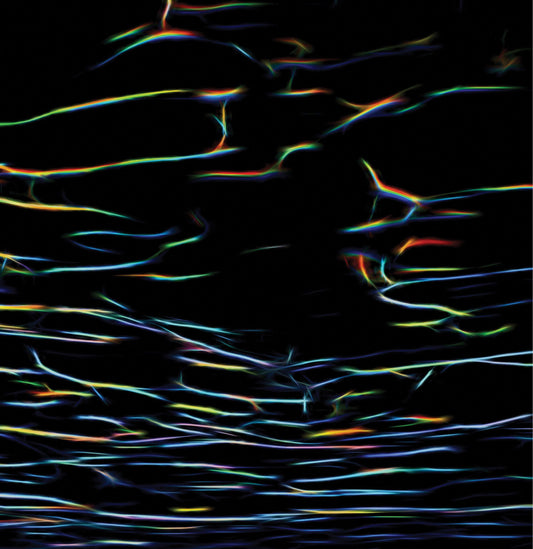 Porter Ricks - Biokinetics [CD]