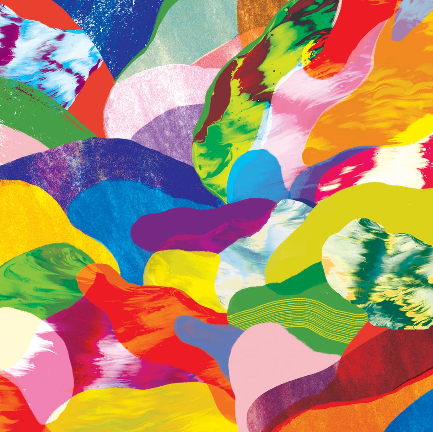 MSSV - Media Kittens / When The Hoarding Has Ended