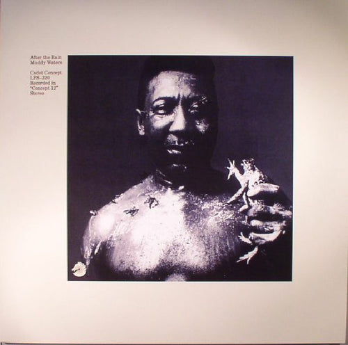 MUDDY WATERS - AFTER THE RAIN