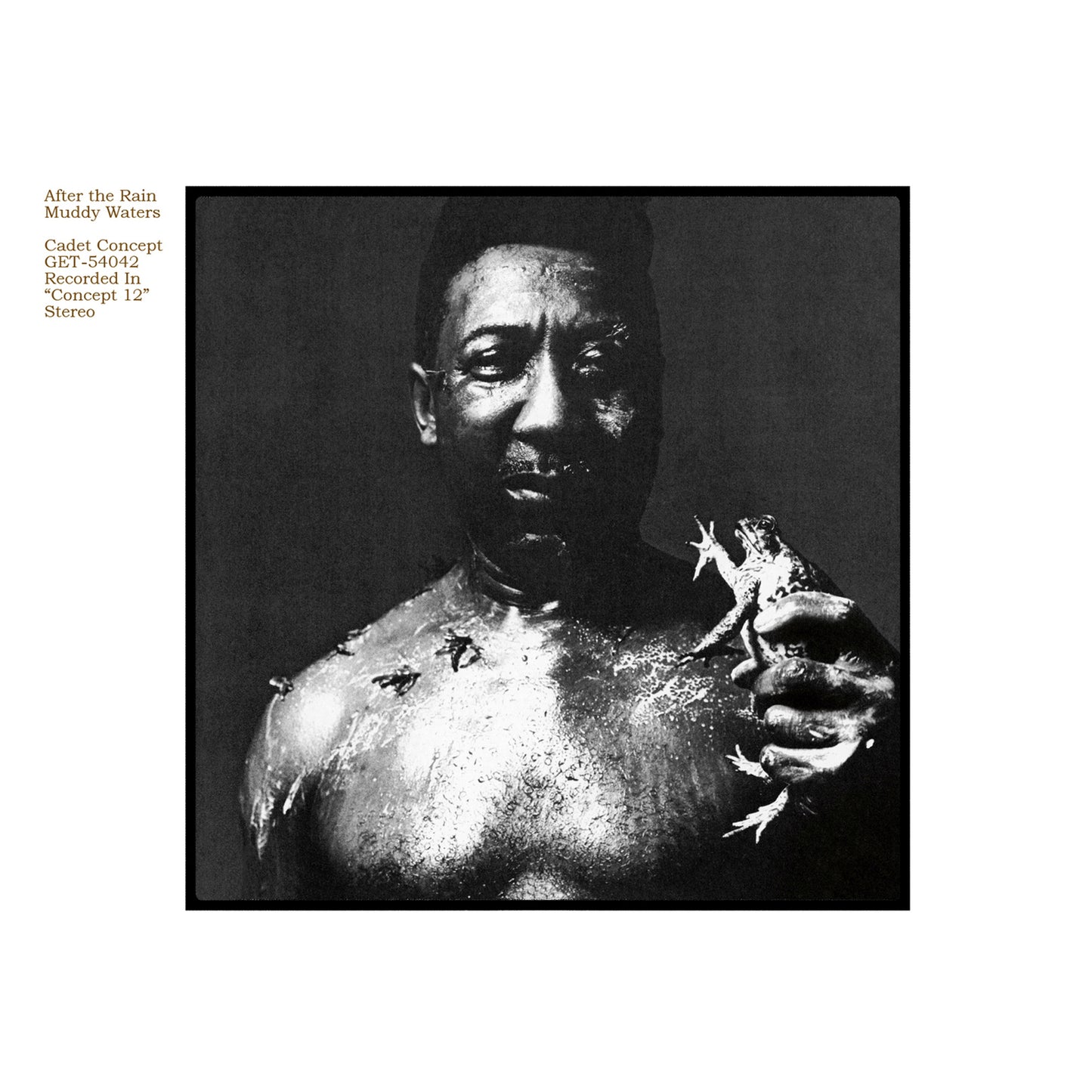 Muddy Waters - After The Rain