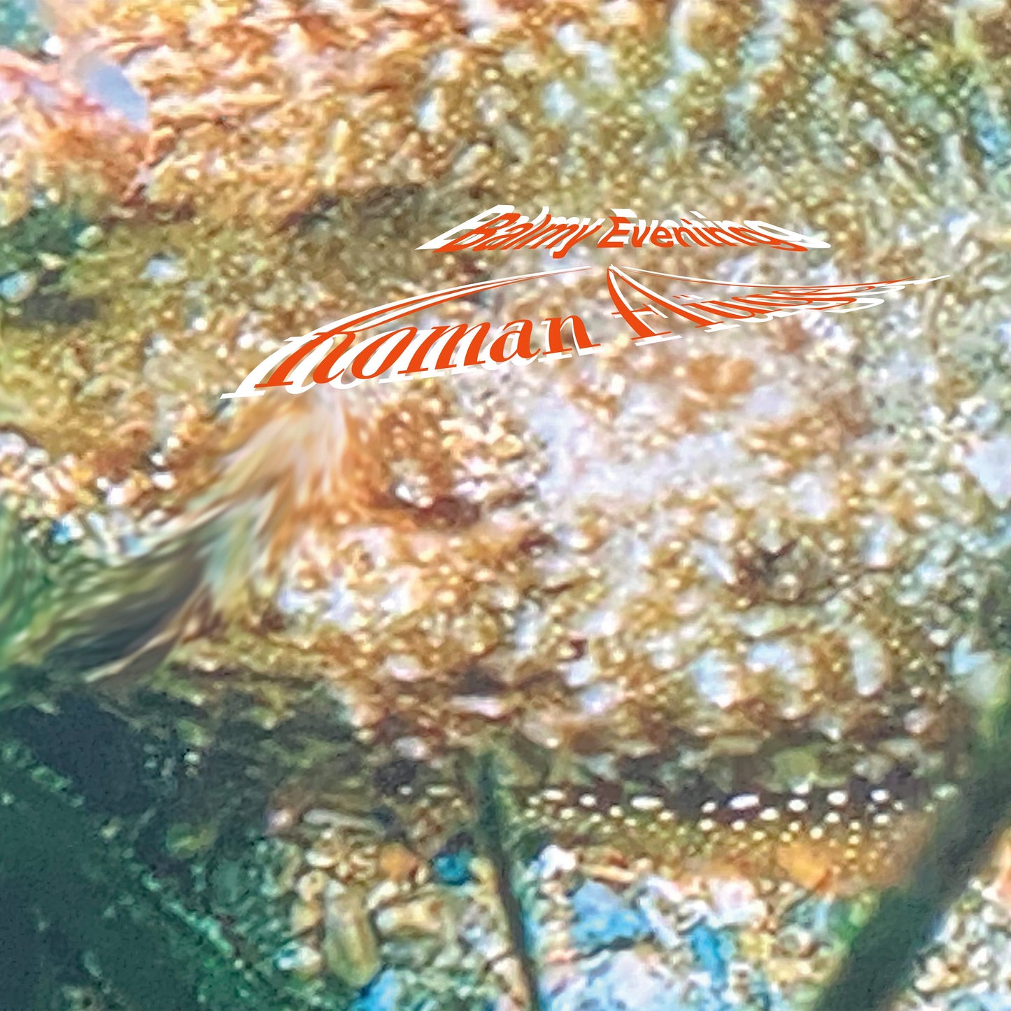 Roman Flugel - Balmy Evening