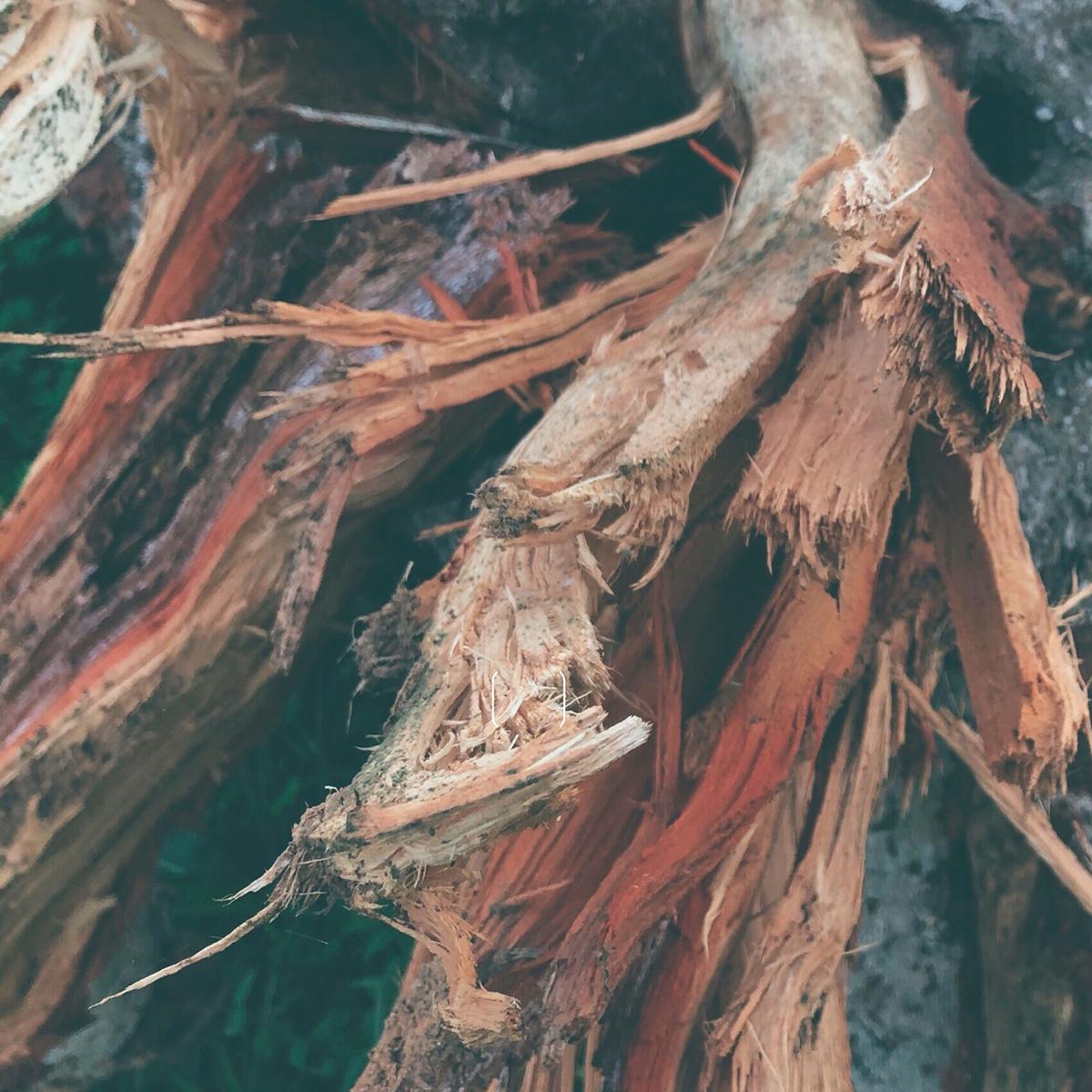 DAFR - Matterwave: We are part of what inspires us EP [printed sleeve]