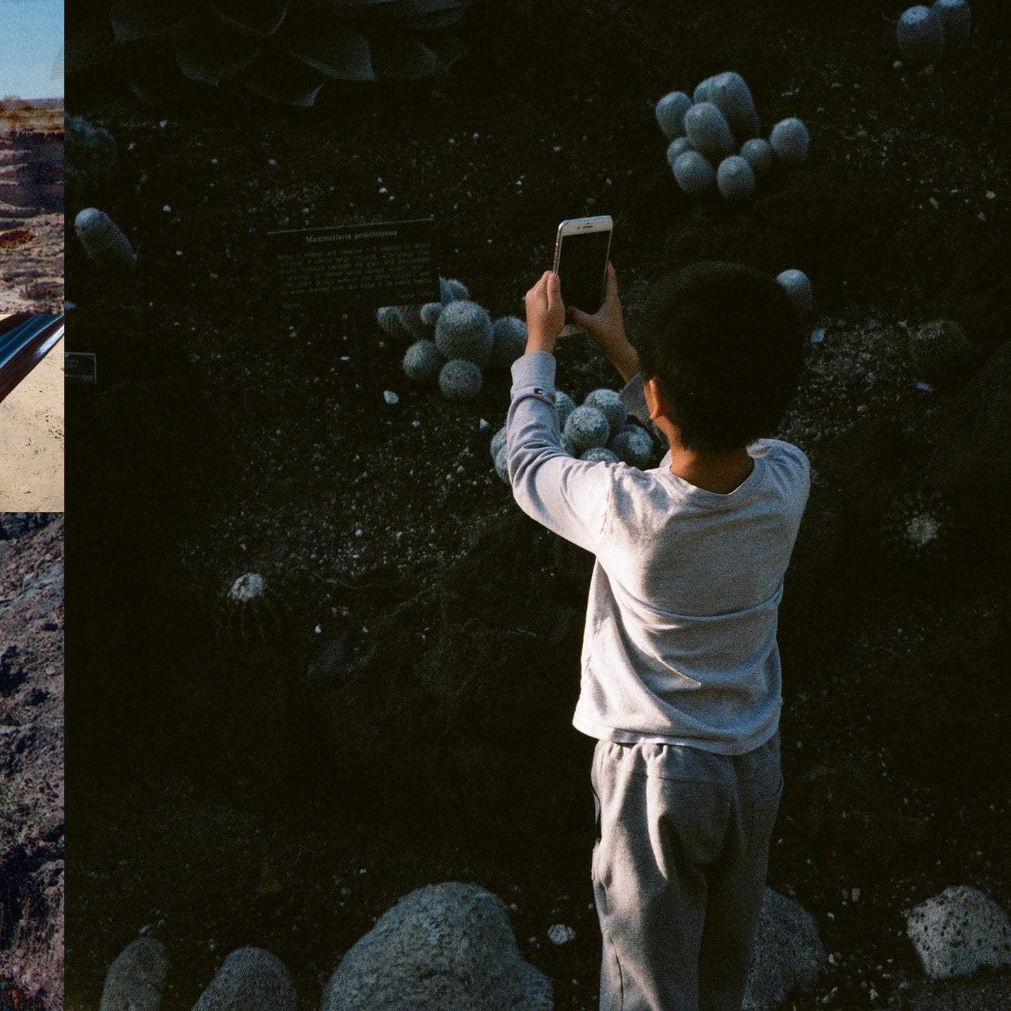 Mega Bog - Life, and Another [CD]