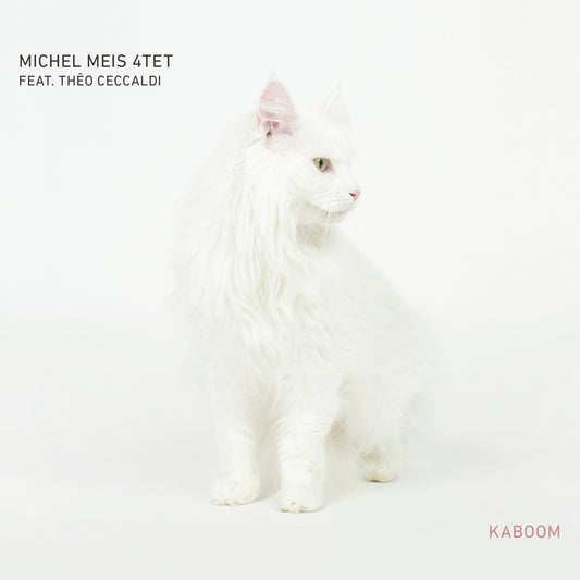 Michel Meis 4Tet - Kaboom
