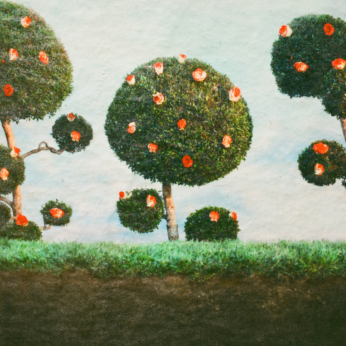 Midnight Sister Painting the Roses [LP]