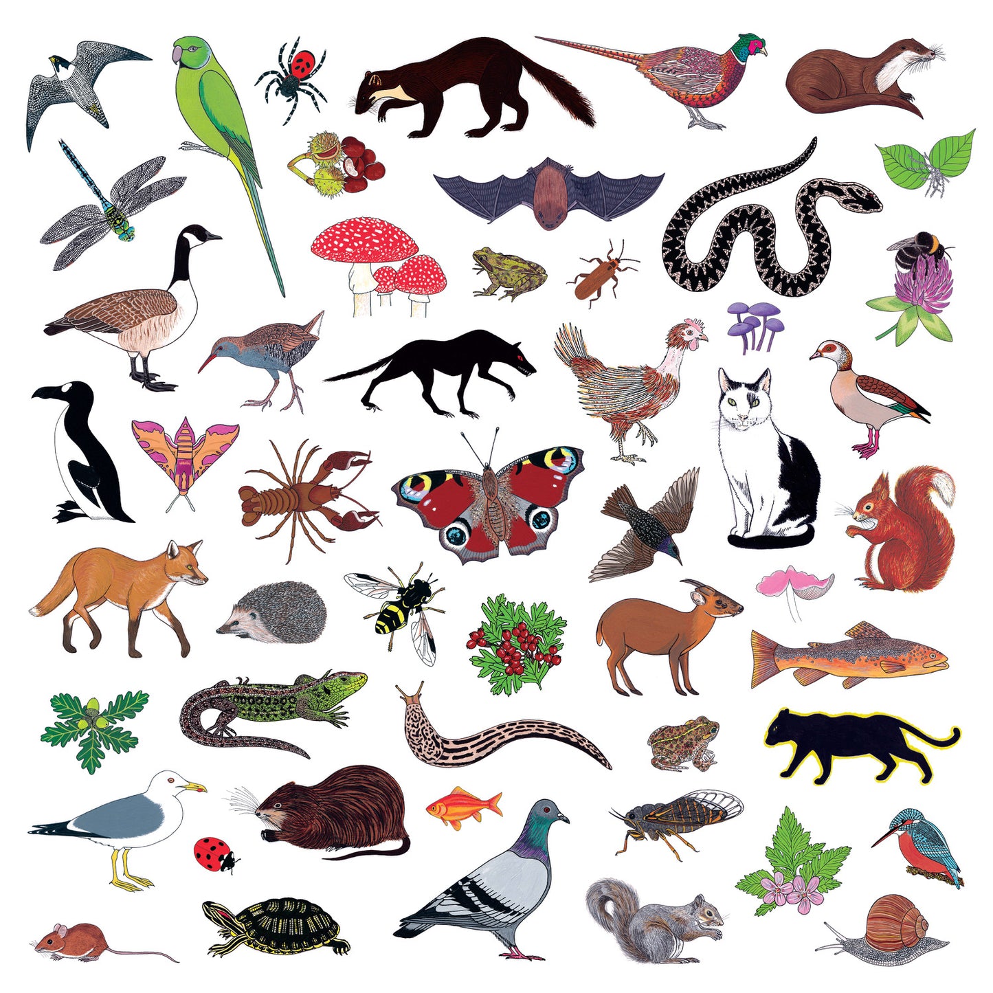 Modern Nature - Island of Noise [Limited Edition Boxset]