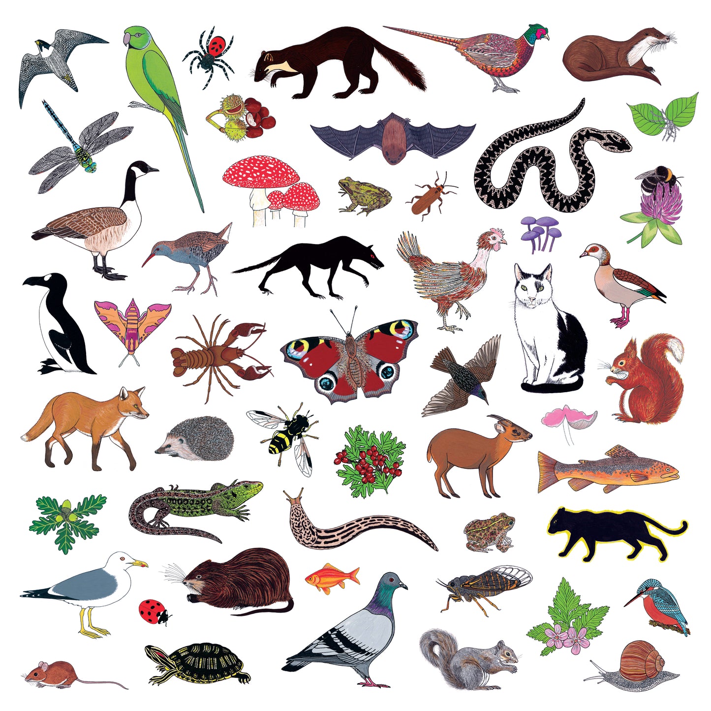 Modern Nature - Island Of Noise [CD]