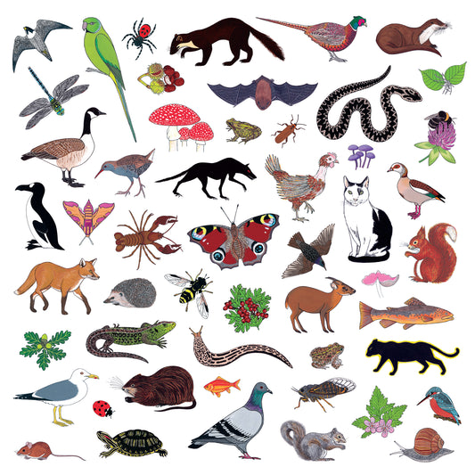 Modern Nature - Island Of Noise [CD]