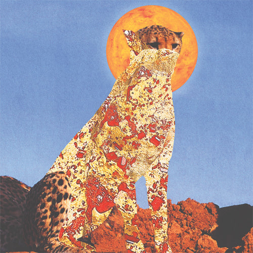 Various Artists - Moon Faze Sun Gaze III