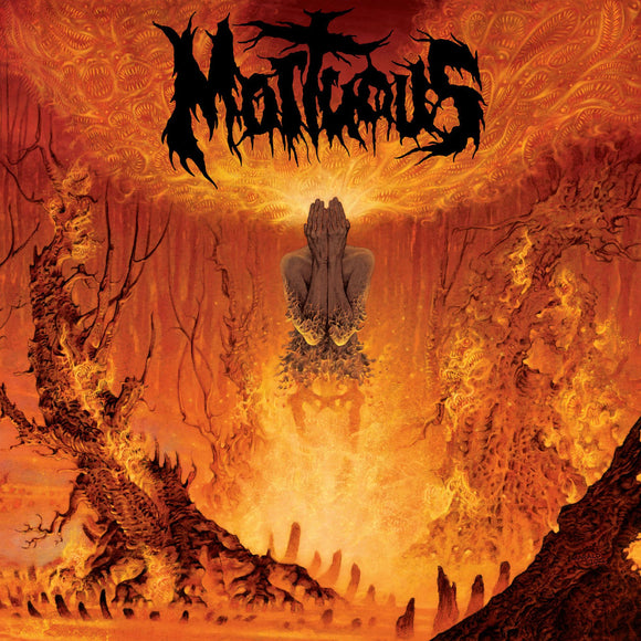 Mortuous – Upon Desolation [CD]