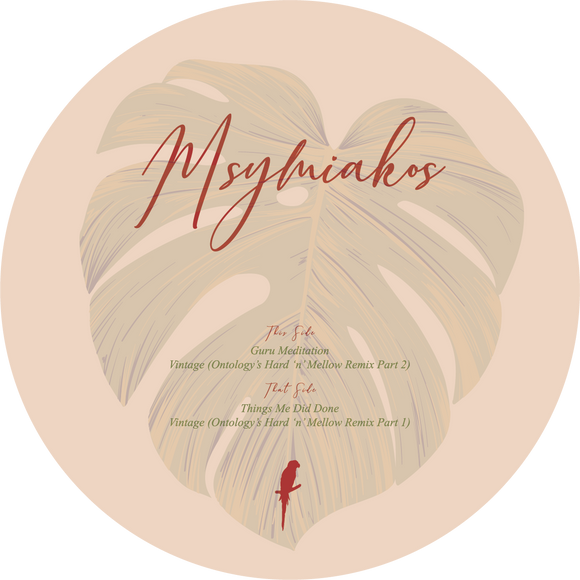 Msymiakos - Things Me Did Done