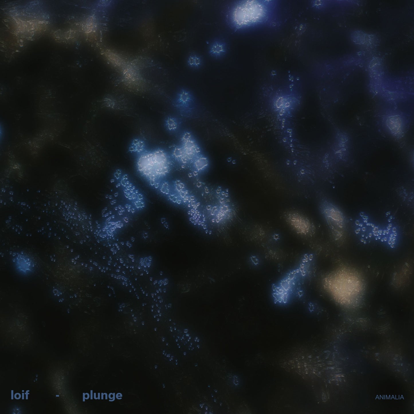 LOIF - Plunge