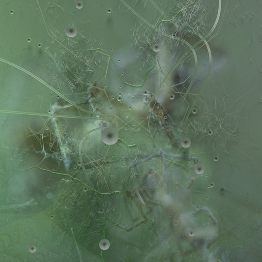 Priori, Donato Dozzy, Aurora Halal, DJ Python, Bambounou - Your Own Power Remixes