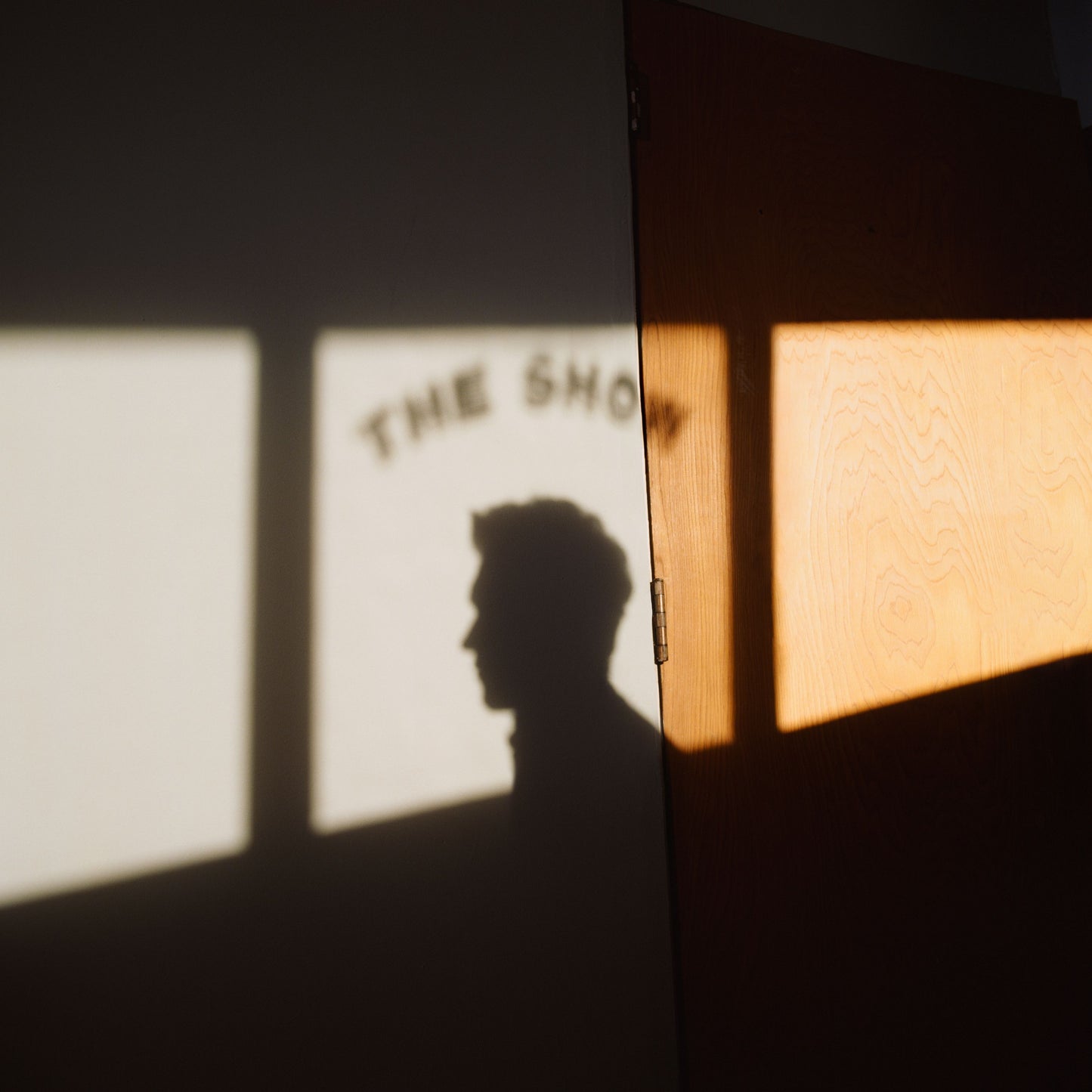 Niall Horan - The Show [White LP]