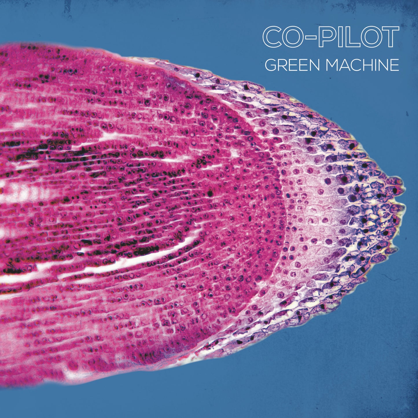 CO-PILOT - GREEN MACHINE