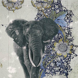 SINDACO - SPIRITUAL SAFARI (LP) [feat Marcela Dias, Abyssy, Stromboli]