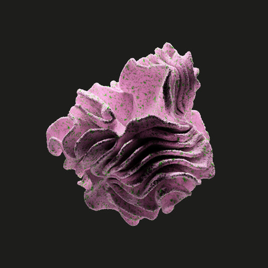 Nandu - Forever In Our Favor EP