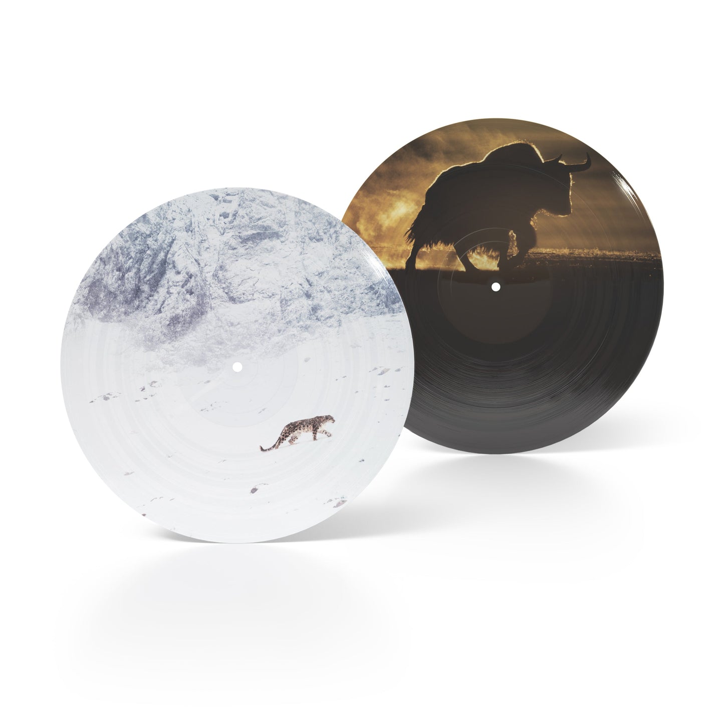 Nick Cave & Warren Ellis - La Panthère Des Neiges (Original Soundtrack) [Picture Disc]