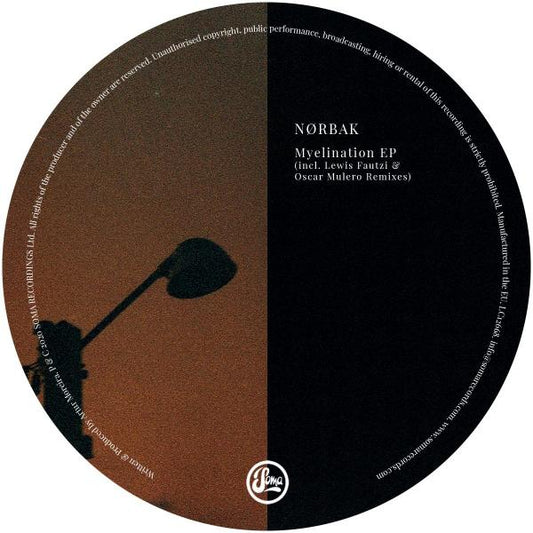NØrbak - Myelination