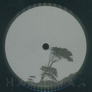 FELIX K - Momentum (ONE PER PERSON)