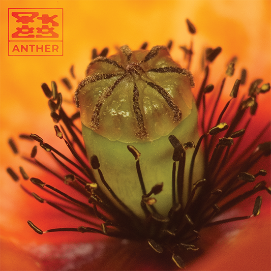 OK EG - Anther EP [Repress]