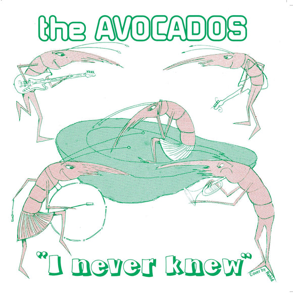 The Avocados - I Never Knew
