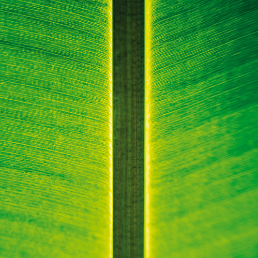 Fahmi Mursyd - One Instrument Sessions