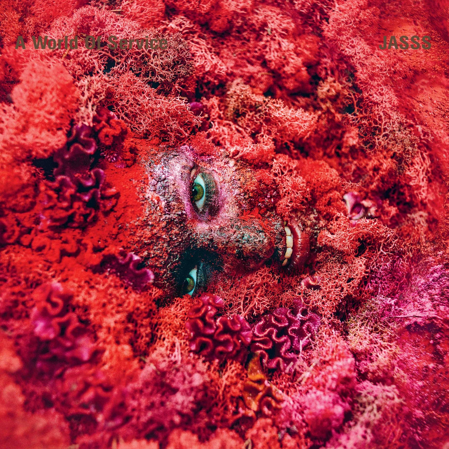 JASSS - A World Of Service [LP]