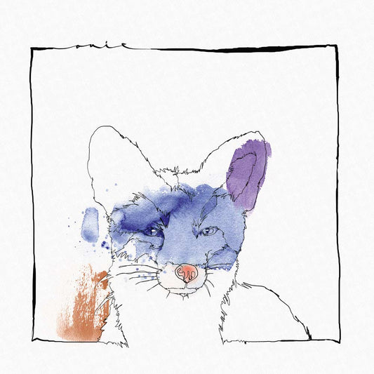 Nico Stojan - Cardano EP