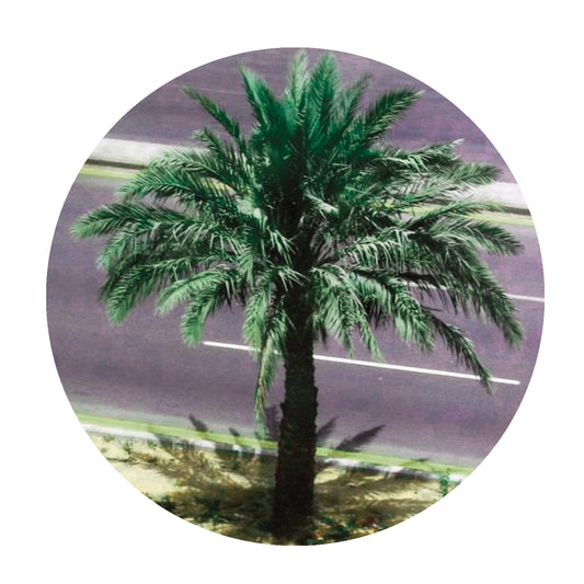 Harrison BDP Watching The World Go By EP