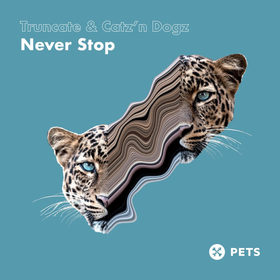 Truncate & Catz 'n Dogz - Never Stop EP