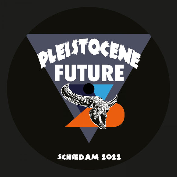 Bas Mooy - Pleistocene Future 2