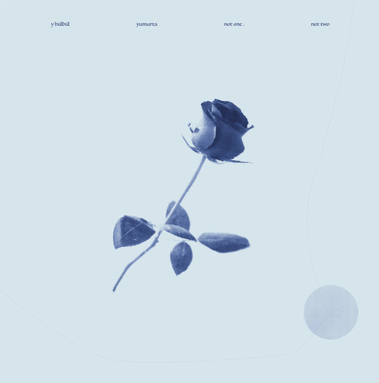 Y Bülbül / Yumurta - Not One, Not Two