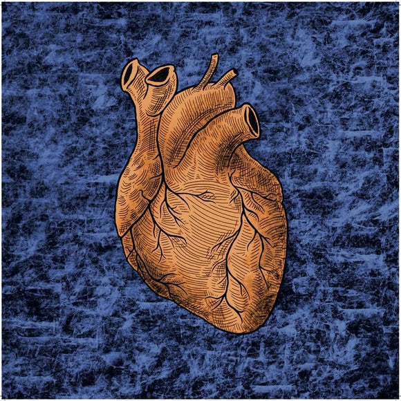 PLANISPHERE - Heart Over Mind EP