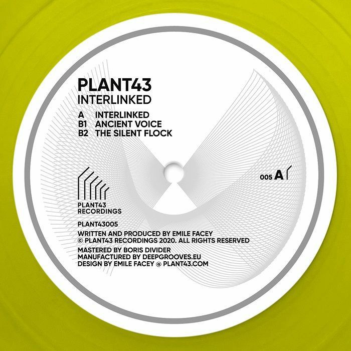 PLANT43 - Interlinked