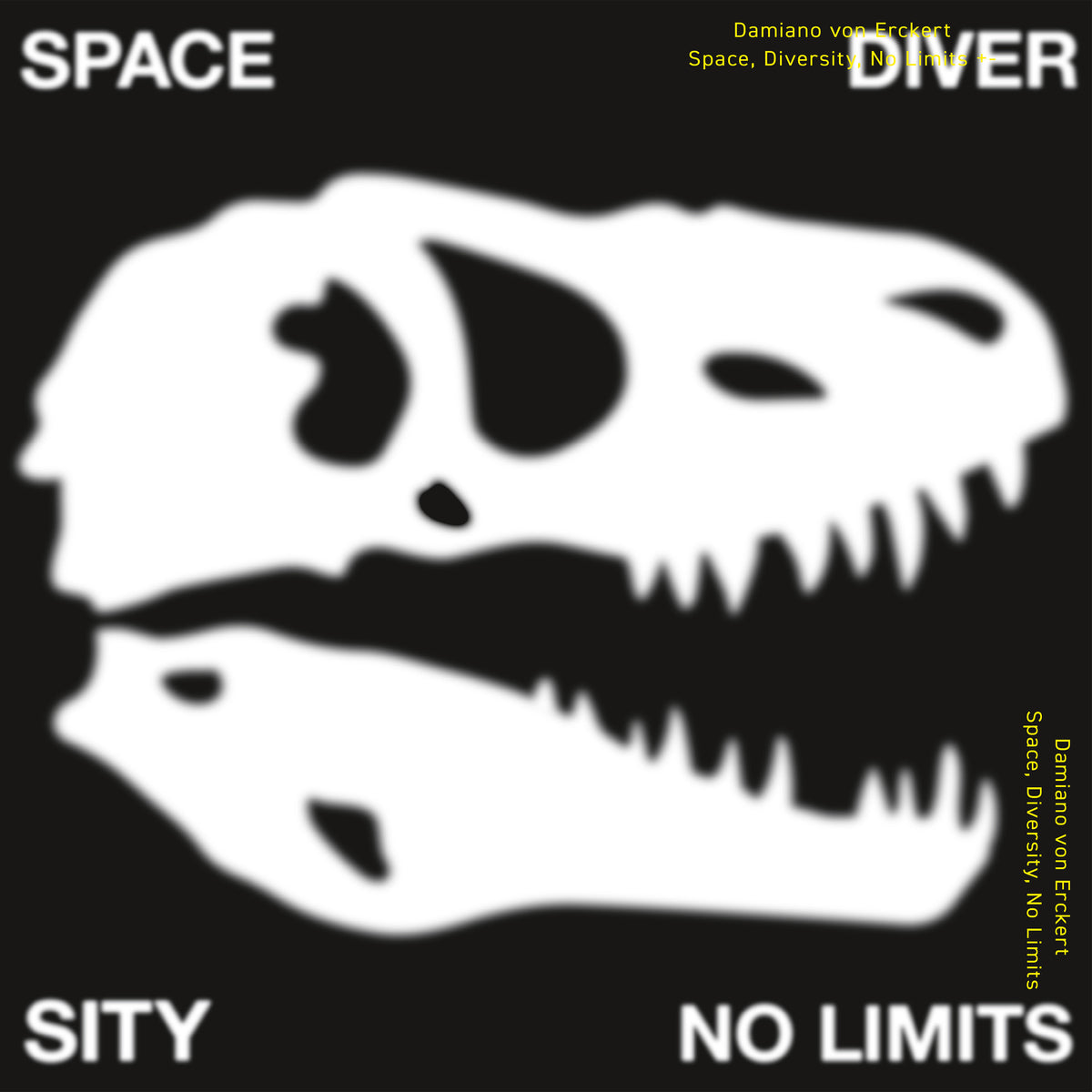 Damiano von Erckert - Space, Diversity, No Limits