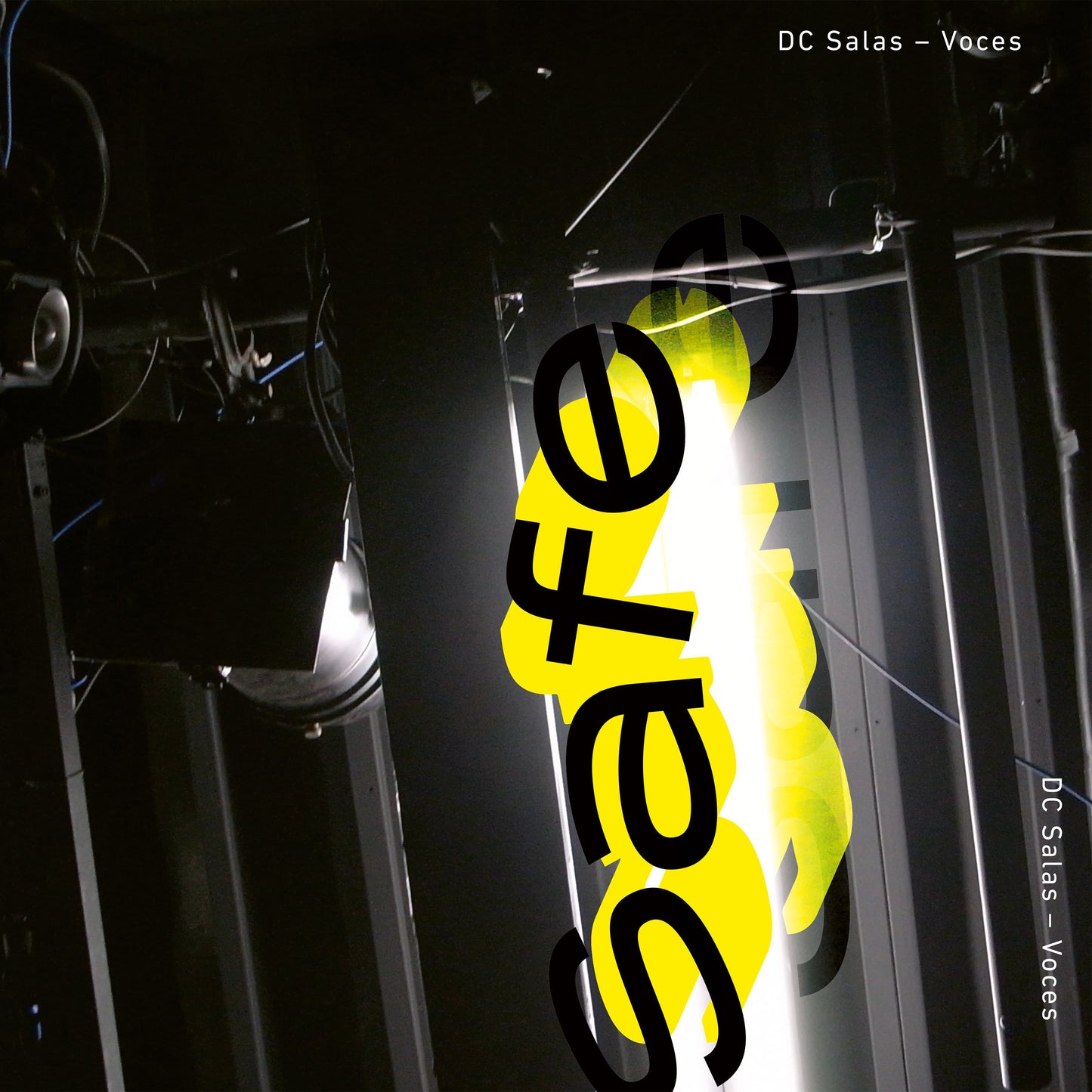 DC Salas - Voces