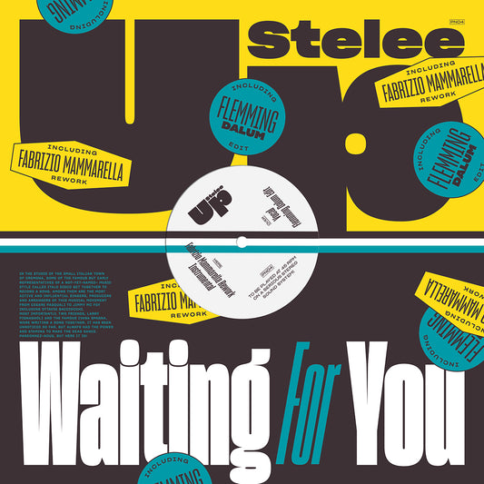 STELEE-UP - WAITING FOR YOU 12"